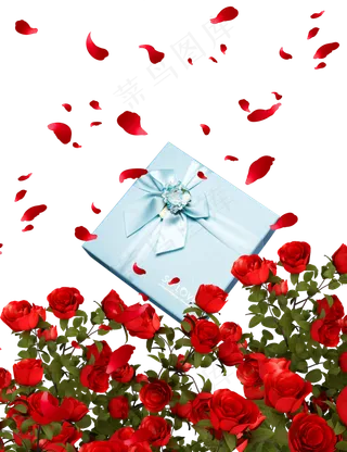 情人节玫瑰礼盒