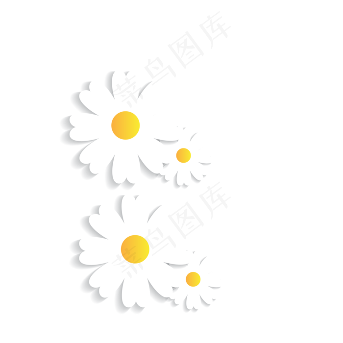 白色雏菊(2000*2000px 72 dpi )