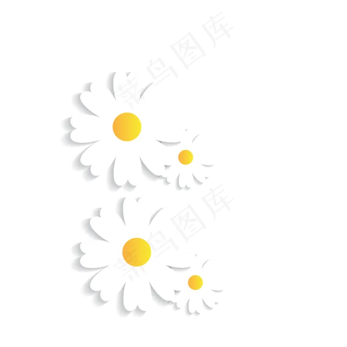 白色雏菊(2000*2000px 72 dpi )