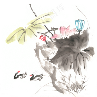 荷与鸭子水墨画PNG免抠素材