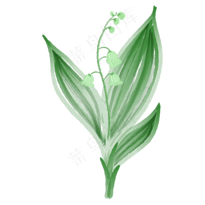 绿叶装饰水墨风铃草