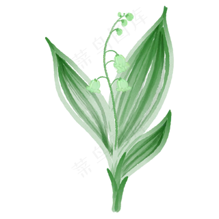 绿叶装饰水墨风铃草