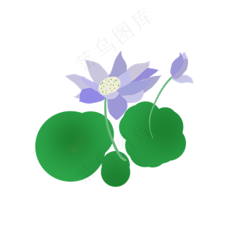 清新夏季荷花元素