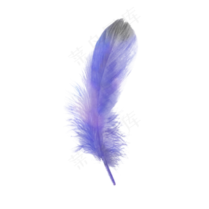 梦幻水彩彩色羽毛