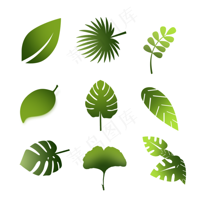 不同形状叶子