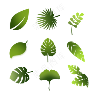 不同形状叶子