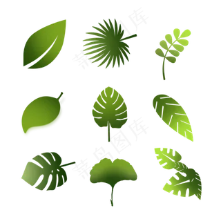不同形状叶子