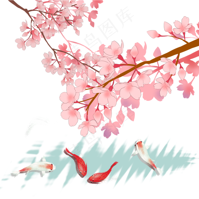 日本春天樱花锦鲤唯美风景(2000*2000px)psd模版下载
