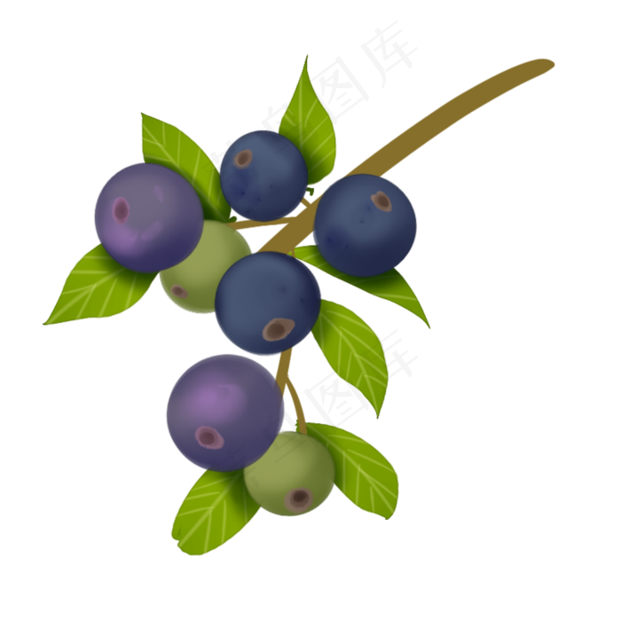 蓝莓果实呈蓝色卡通装饰