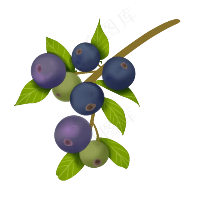 蓝莓果实呈蓝色卡通装饰(2000X2000(DPI:300))psd模版下载