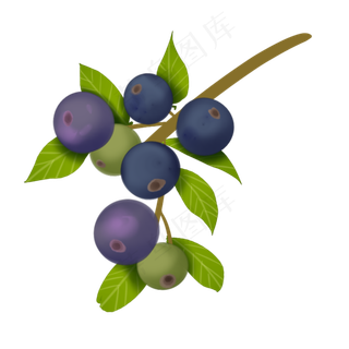 蓝莓果实呈蓝色卡通装饰
