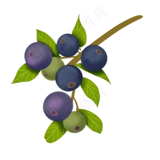 蓝莓果实呈蓝色卡通装饰