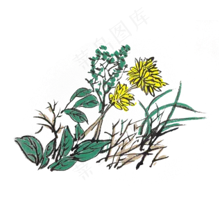 中国风水墨花草墨迹重彩,免抠元素