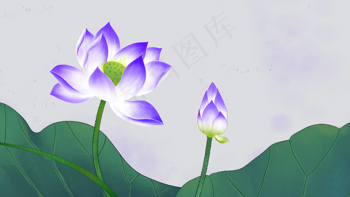 花卉植物荷花莲花(2880*1620px 300 dpi )psd模版下载