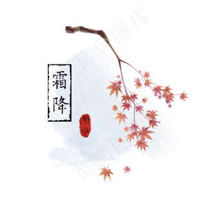 水彩风霜降红色枫叶