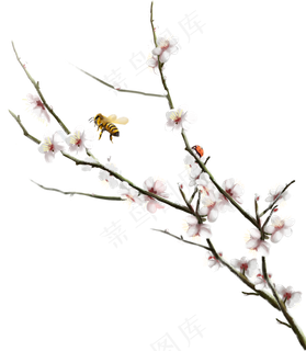 桃花桃树桃树枝,免抠元素