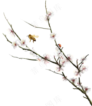 桃花桃树桃树枝,免抠元素