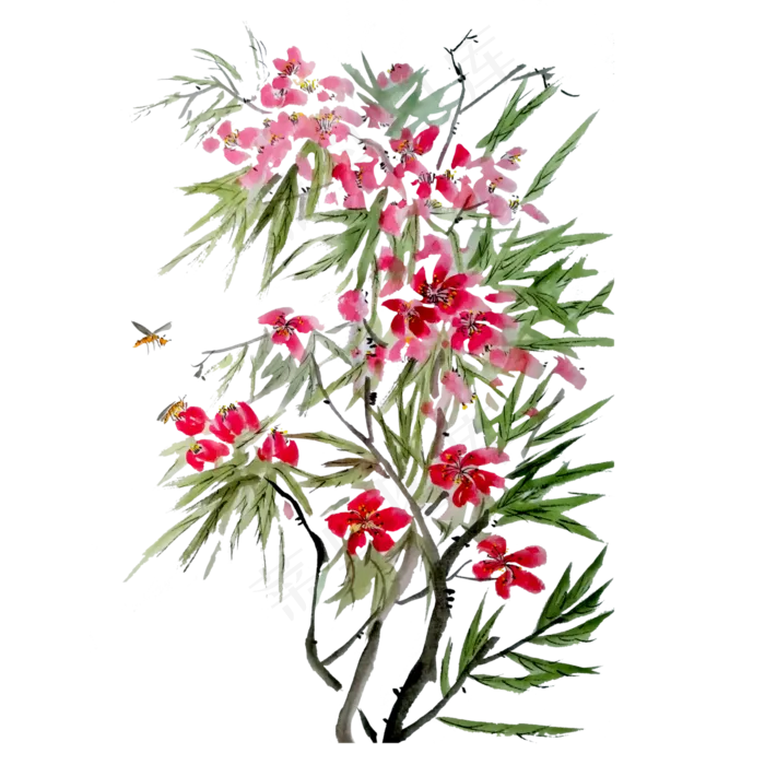 国画写意花鸟夹竹桃蜜蜂春天春色,免抠元素(2742X3885(DPI:72))psd模版下载