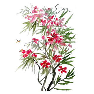 国画写意花鸟夹竹桃蜜蜂春天春色,免抠元素