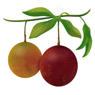 新鲜水果百香果