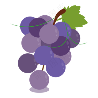 紫色葡萄