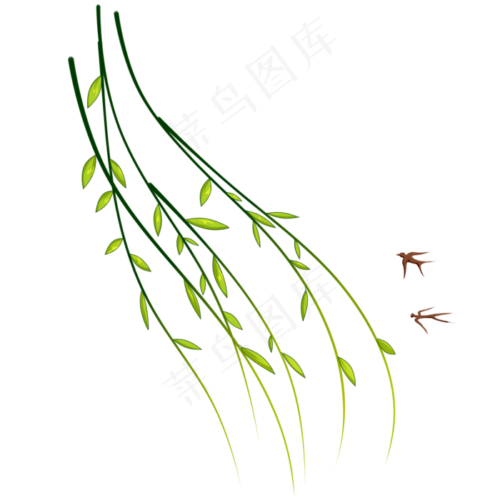 植物树木柳树柳条