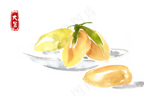 大暑盘中的木瓜