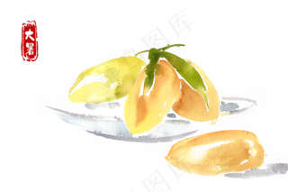 大暑盘中的木瓜