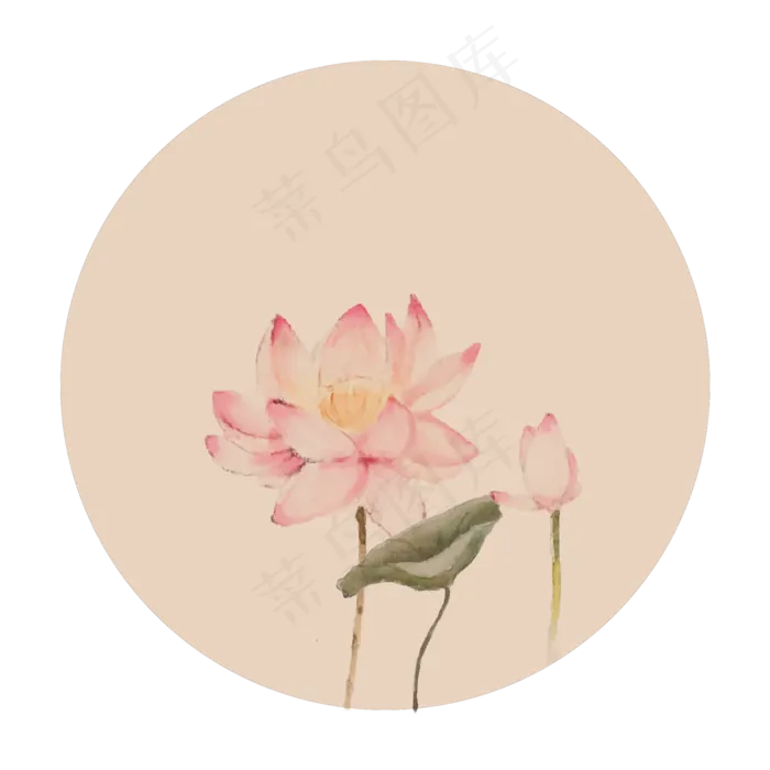 中国风古典古风荷花矢量图(2000X2000(DPI:300))psd模版下载