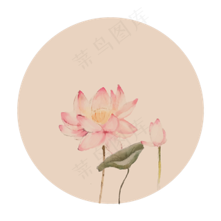 中国风古典古风荷花矢量图