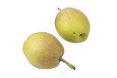 两个绿色甘甜大香梨