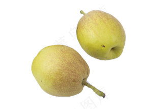 两个绿色甘甜大香梨