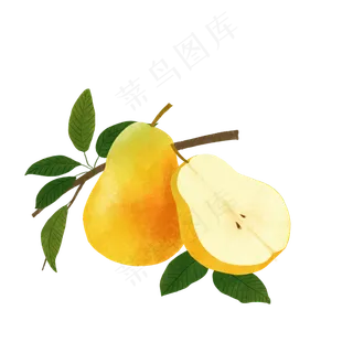 香梨水梨鲜果夏日甜蜜美味PNG