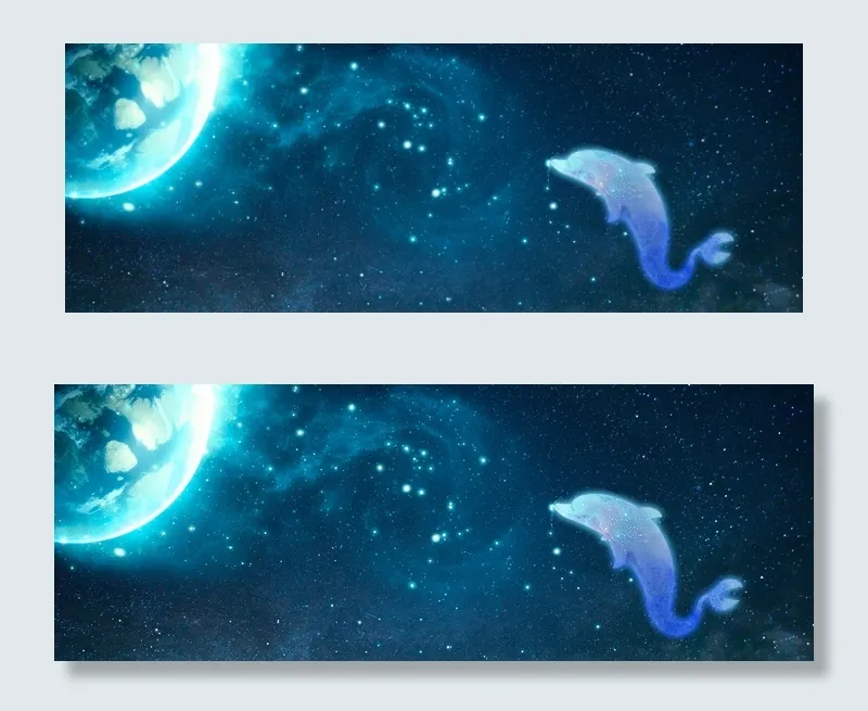 海豚之星的仲夏夜(1920*700px 	       )psd模版下载