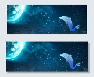 海豚之星的仲夏夜