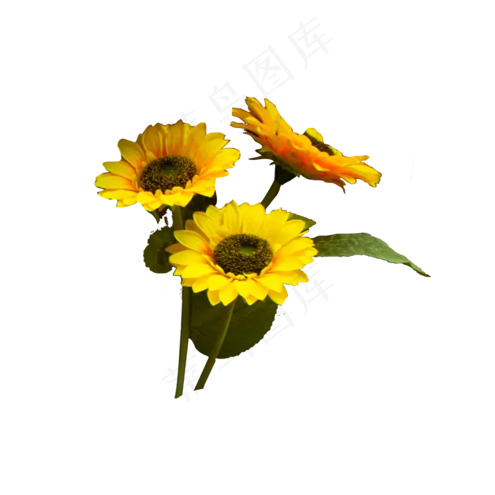 三朵美丽的太阳花(2000X2000(DPI:300))psd模版下载