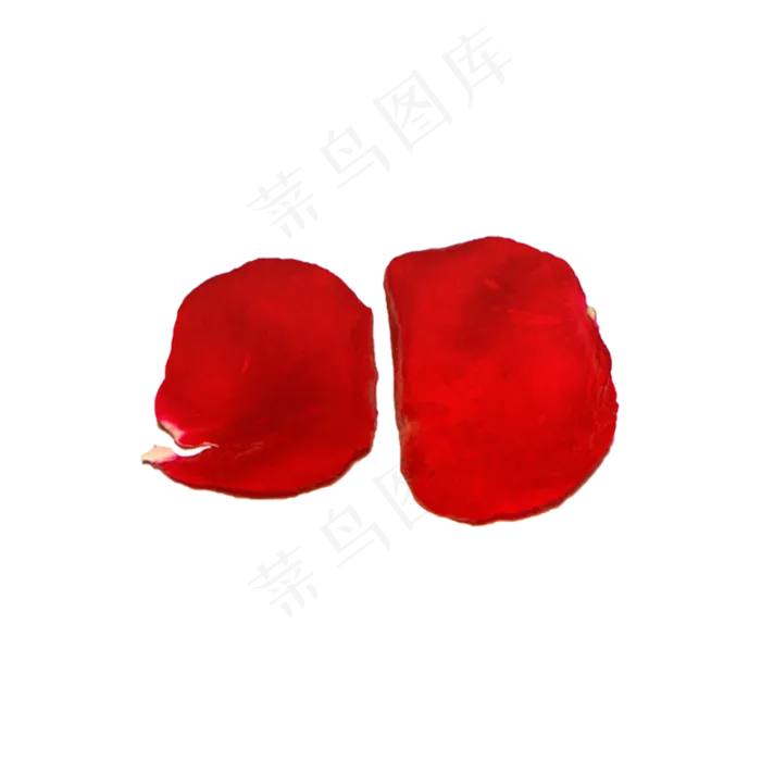 玫瑰花瓣（png免抠）(2000X2000(DPI:72))psd模版下载