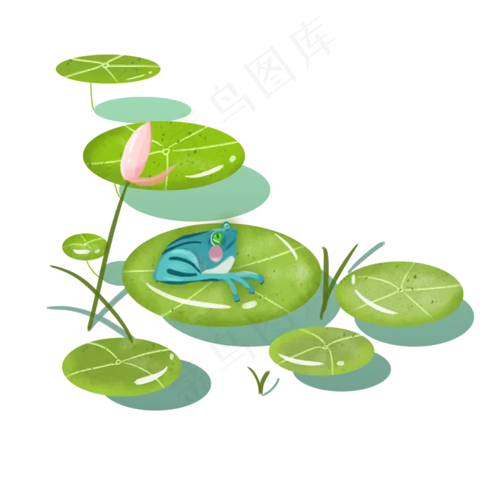 夏季荷叶青蛙png下载(2000X2000(DPI:300))psd模版下载