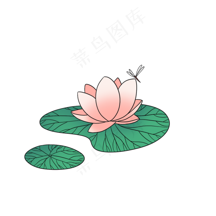 夏日小清新荷花和蜻蜓(1200X1200(DPI:300))psd模版下载