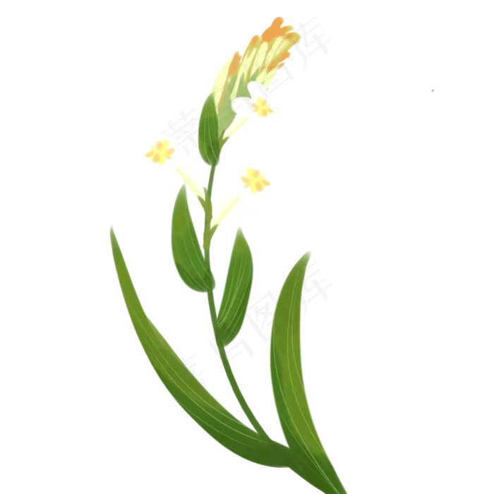 手绘白花绿色叶子(2000X2000(DPI:300))psd模版下载