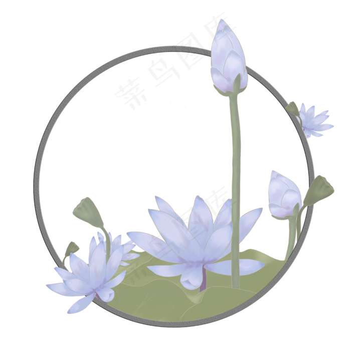 手绘夏日荷花蓝色莲花