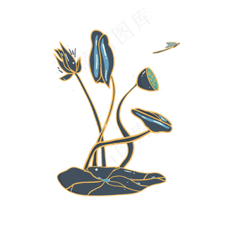 小暑大暑清凉荷花荷叶莲花