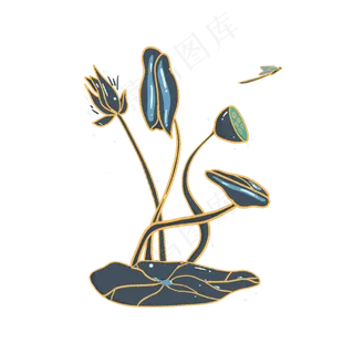 小暑大暑清凉荷花荷叶莲花