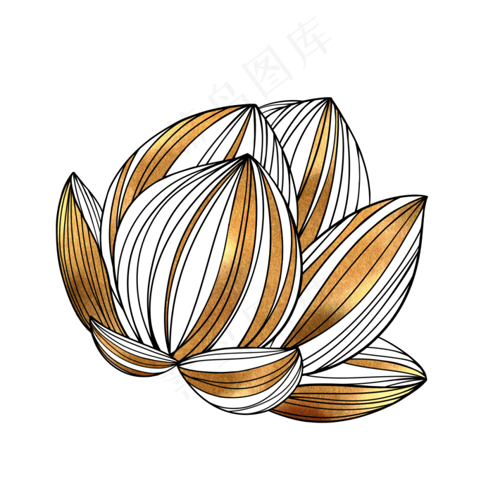 黑金莲手绘线条风格莲花PNG免
