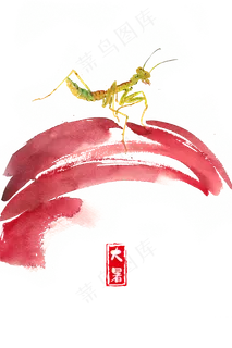 大暑红色花瓣与螳螂