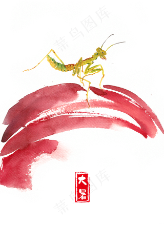 大暑红色花瓣与螳螂