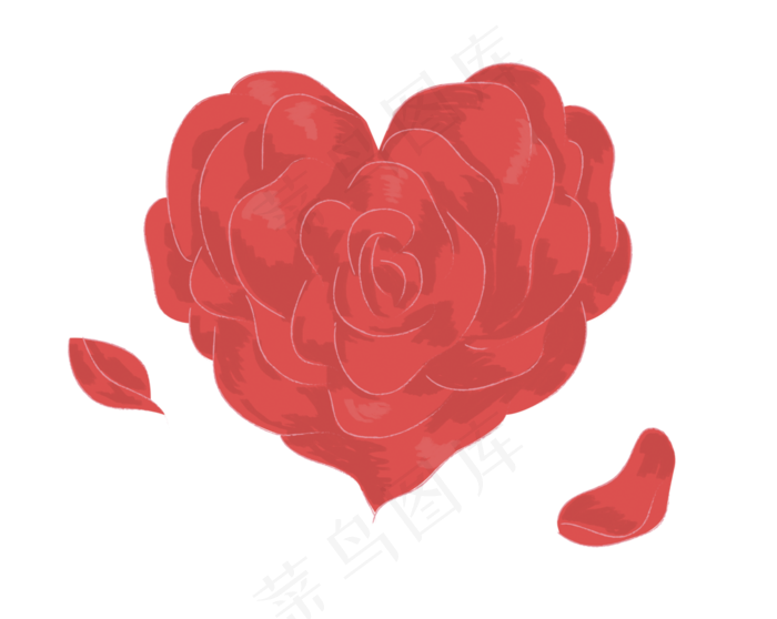 爱心红玫瑰花