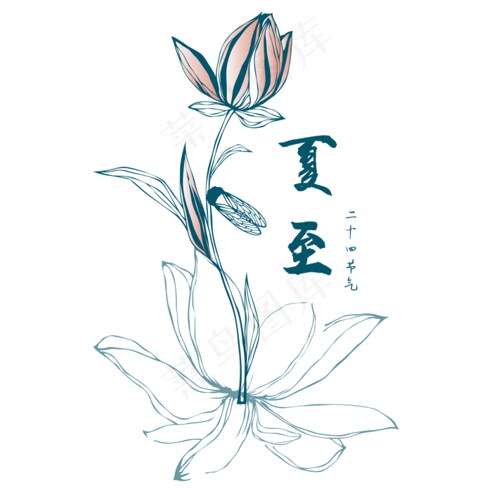 中国风夏至荷花荷叶线条