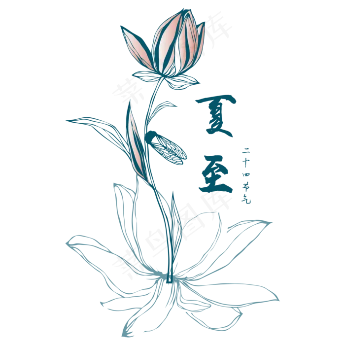 中国风夏至荷花荷叶线条(2000*2000px 300 dpi )ai矢量模版下载
