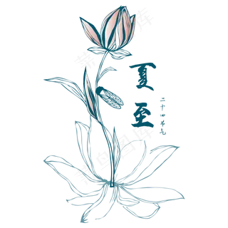 中国风夏至荷花荷叶线条